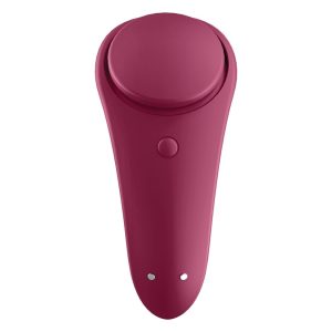 Satisfyer Sexy Secret Panty Vibrator-Wine Red