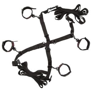 Scandal Over the Bed Cross – Red