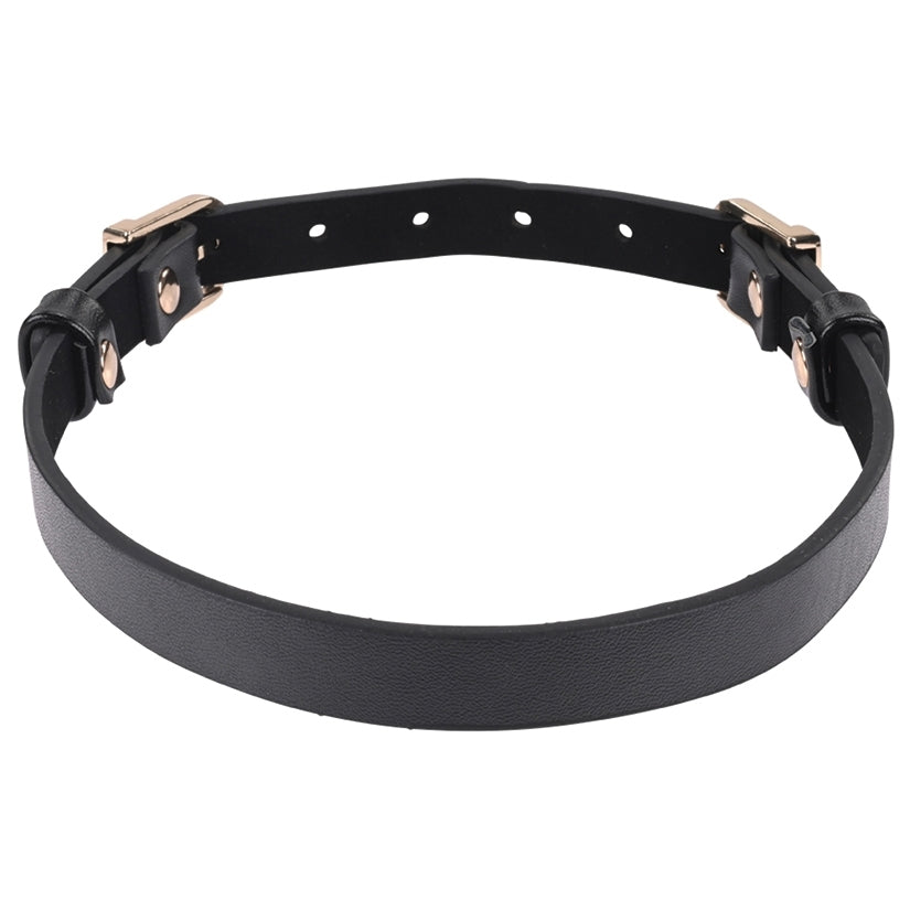S&M Double Buckle Day Collar - Image 2